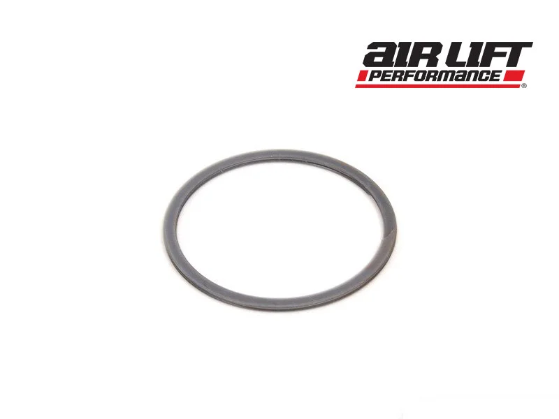 Air Lift Strut Bearing Rebuild Kit (SLAM Series) - Image 5