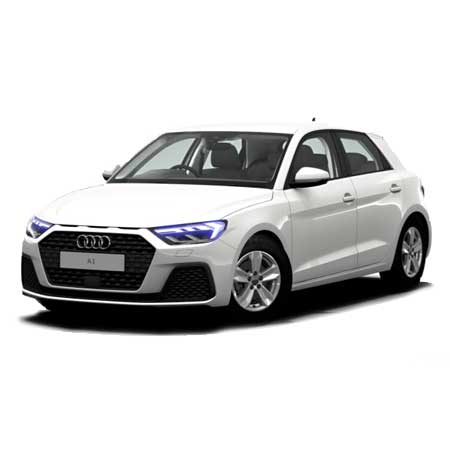 A1